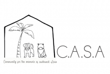 CASA organization logo horizontal new 1