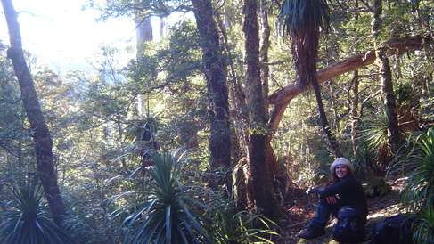 Cancer in the wilderness