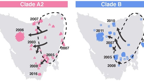 Evolution and geographical spread of a Tasmanian devil transmissible cancer