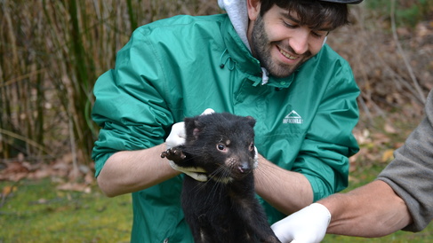 Mission completed! TCG members back from an exciting Tasmania field excursion