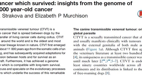 New review on CTVT published by our group