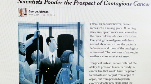 Transmissible cancers mentioned in the New York Times