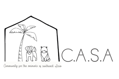 CASA organization logo horizontal new 1
