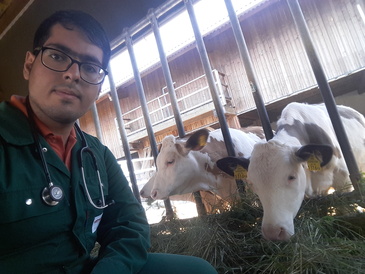 Soheil 20170705 104445