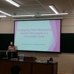 Undergraduate presentation