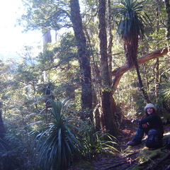 Cancer in the wilderness