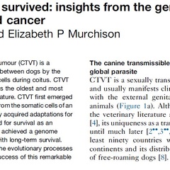 New review on CTVT published by our group