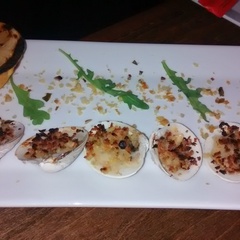 New transmissible cancers discovered in marine bivalves