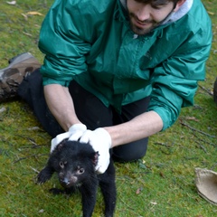 TCG member Maximilian Stammnitz awarded prestigious Gates Cambridge Scholarship