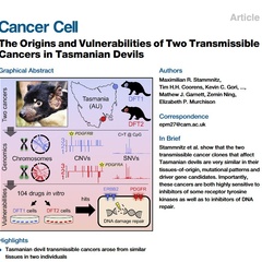 "The Origins and Vulnerabilities of Two Transmissible Cancers in Tasmanian Devils" published on Cancer Cell!