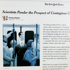 Transmissible cancers mentioned in the New York Times