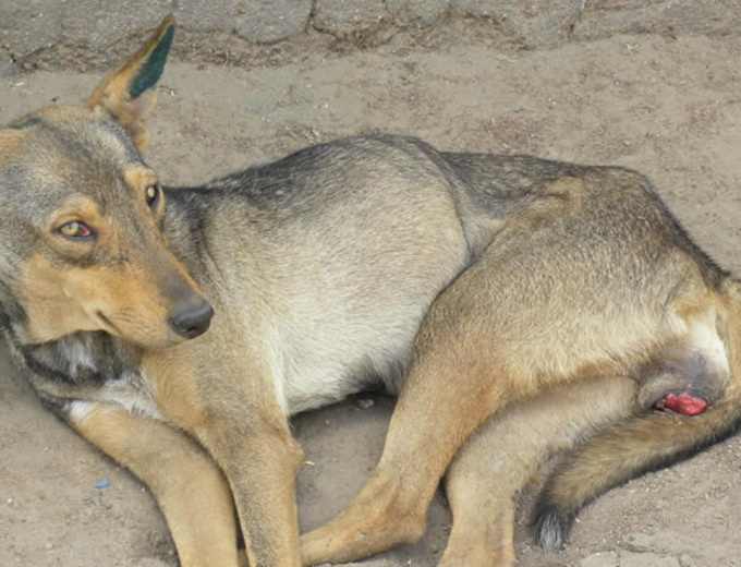 CTVT photo AnnaCzupryna