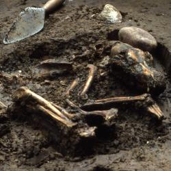 Digging up the ancient origin of a contagious canine cancer