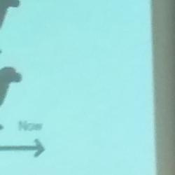 Transmissible Cancer Group members present at Canine Genome Conference