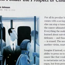 Transmissible cancers mentioned in the New York Times