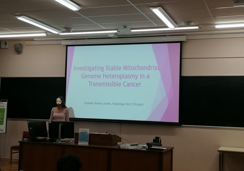 Undergraduate presentation