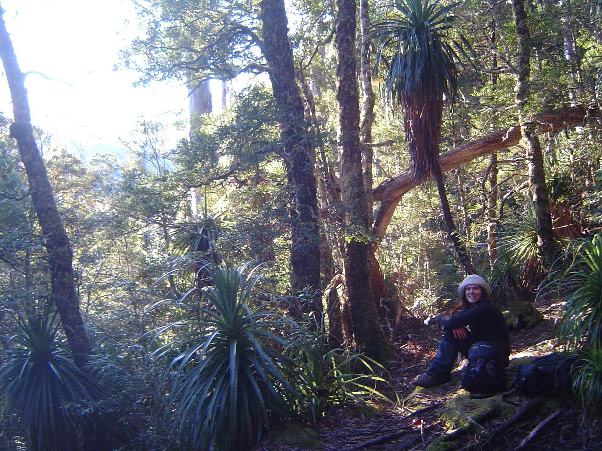 Cancer in the wilderness