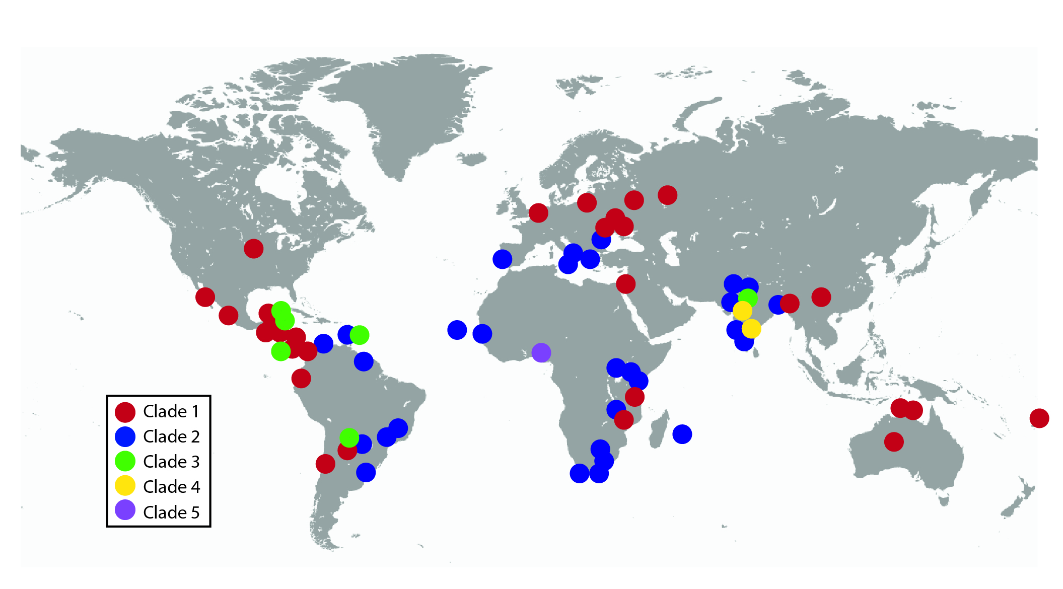 Five CTVT genetic lineages, or “clades”, and their distribution around the world.