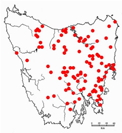 Locations of reported DFTD cases as of 2015 [Data from: Hawkins et al. Biological Conservation, 2006 and the Save the Tasmanian Devil Program]