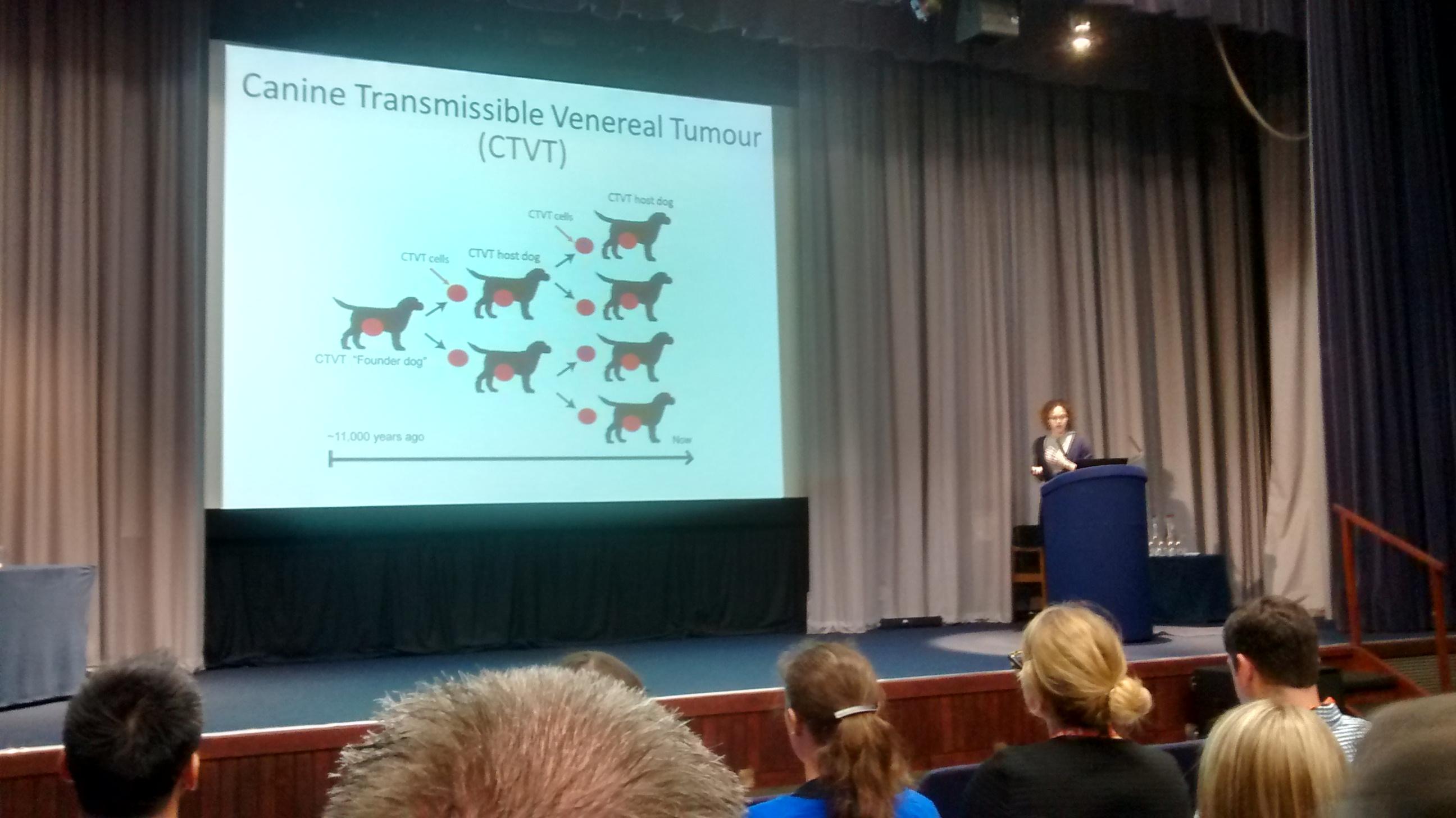 Transmissible Cancer Group members present at Canine Genome Conference